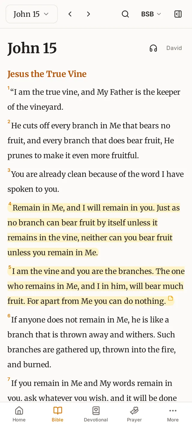 John 15 in the reader on a phone, with verses 4 and 5 highlighted.
