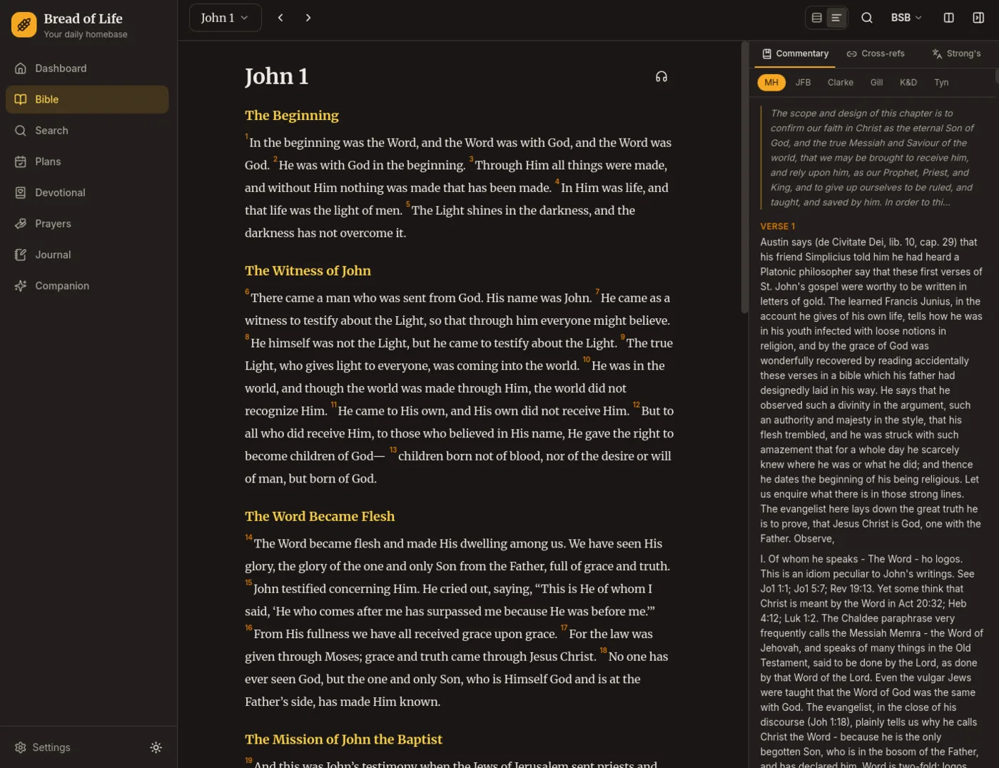 Bible reader with the commentary and study sidebar open